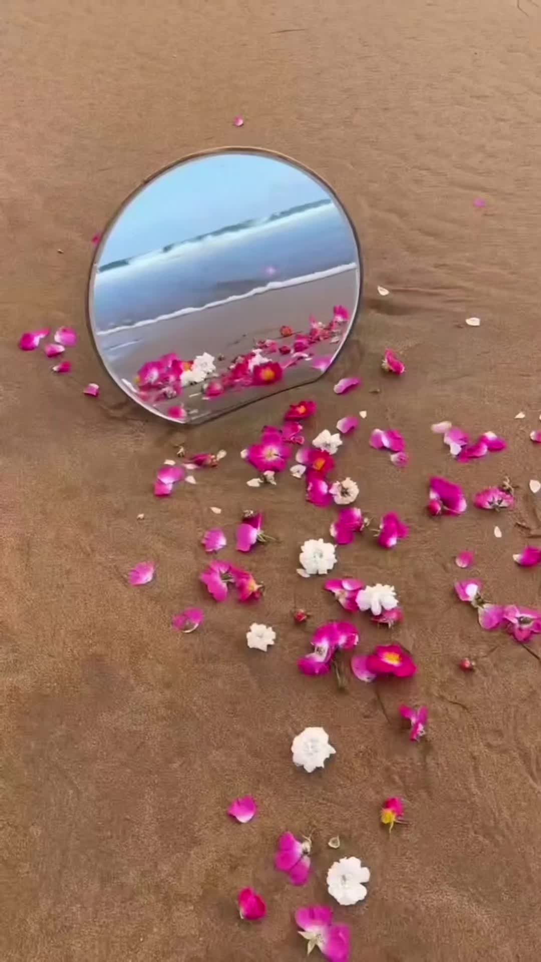 @GIF LOVER❤️