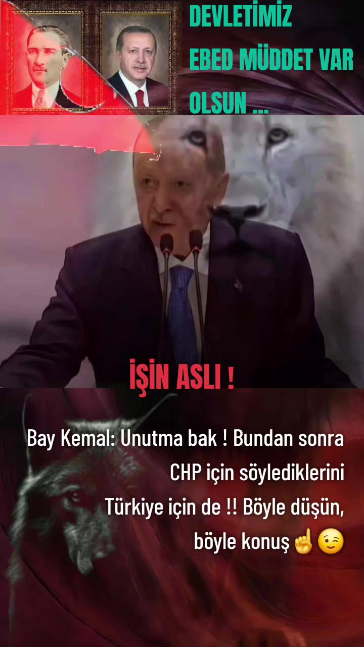 @🇹🇷🦈 Yavuz Ayık