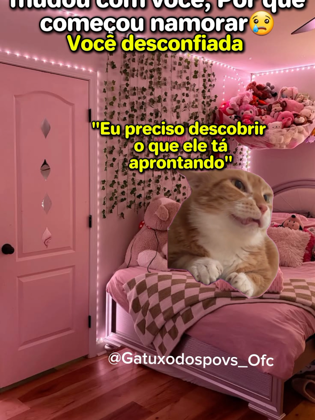 @Gatuxo Dos Povs Ofc