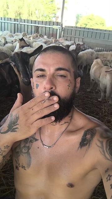 @Danieledipalmo