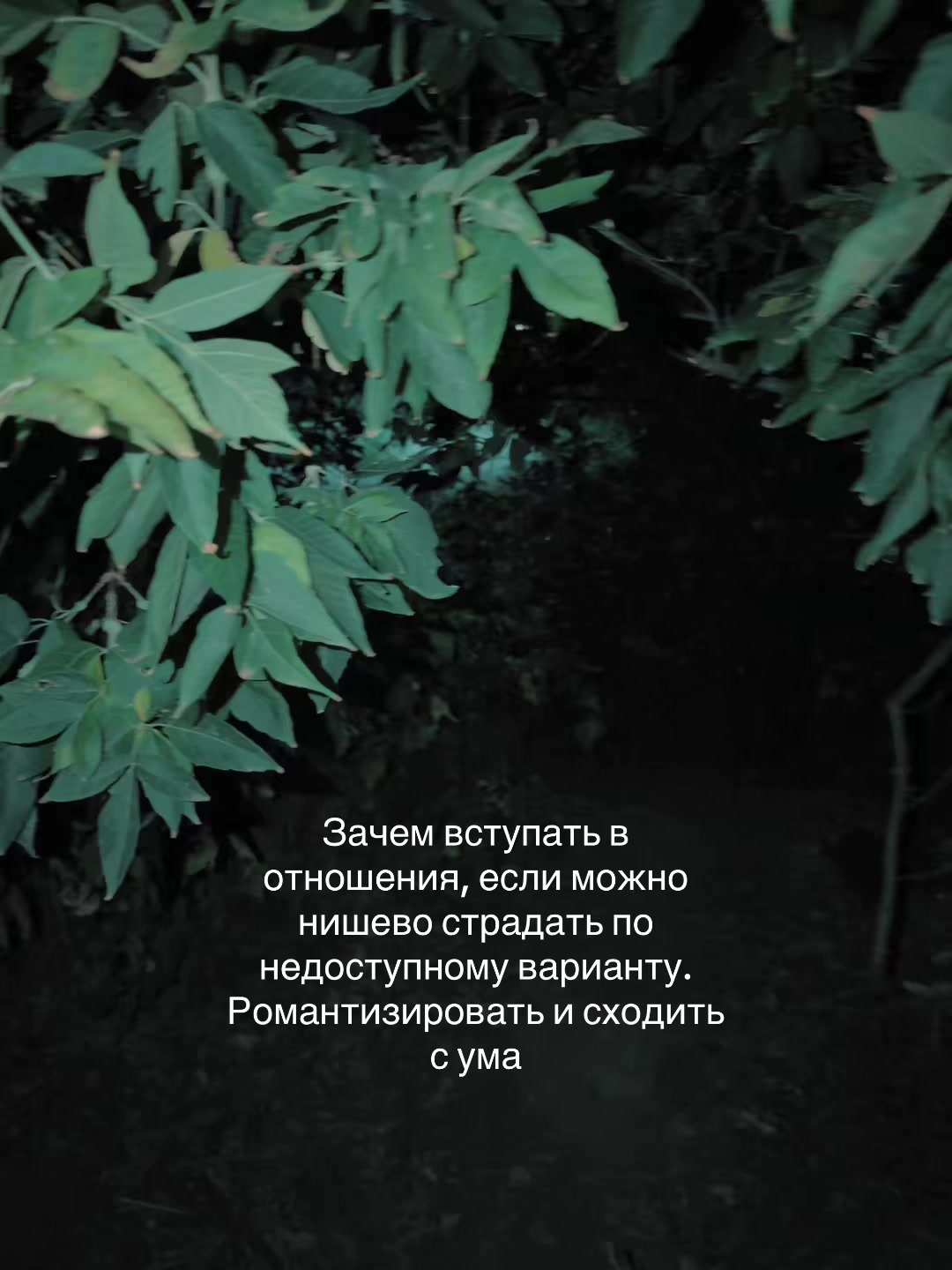 @Мирай 未来