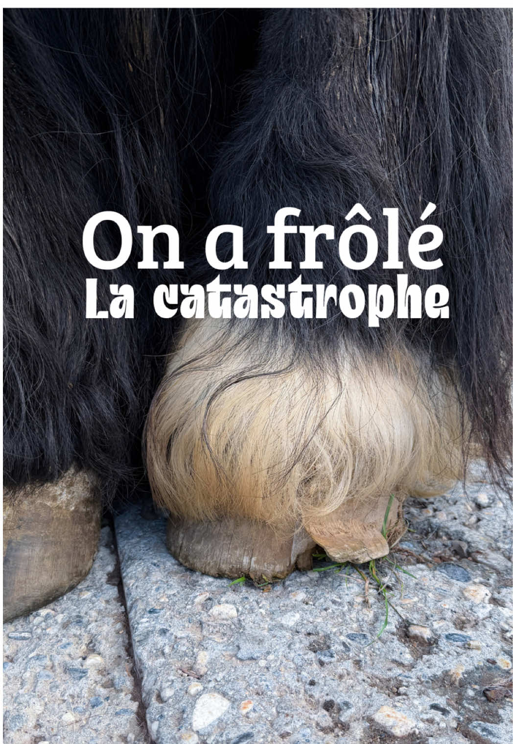 @Untraitdecheval