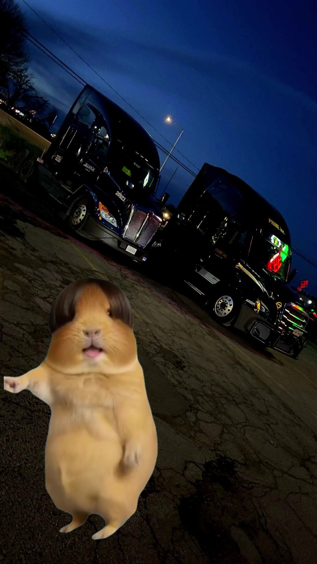 @Jessie Melton