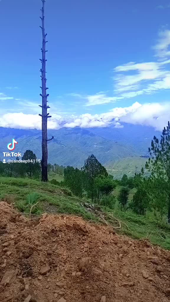 @sandeep khadka 94116