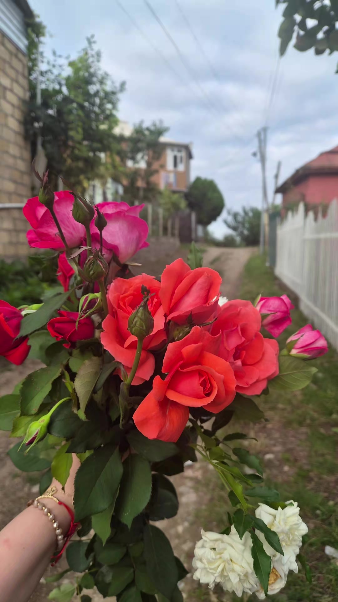 @tiktok