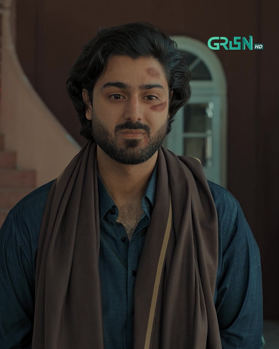 @Green TV Entertainment