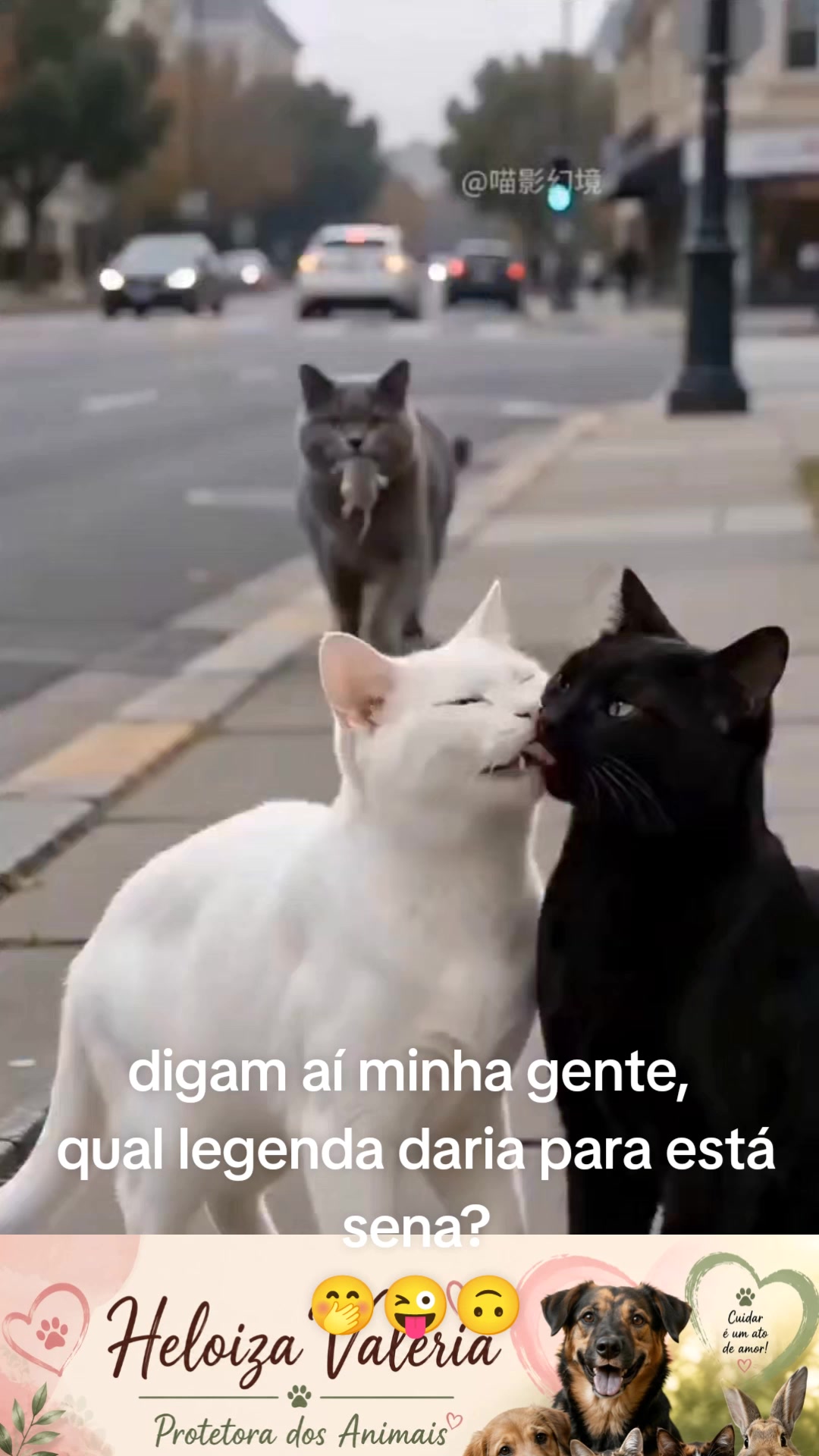 @Heloiza Valeria