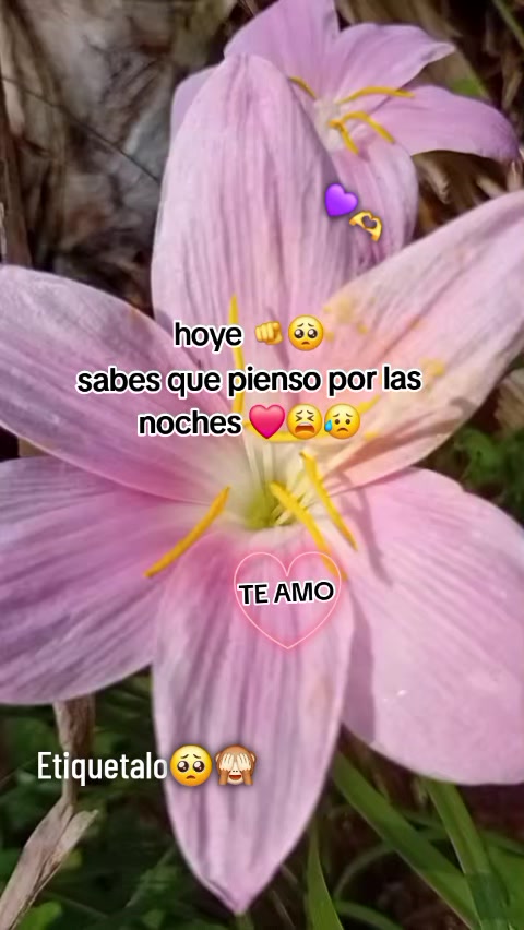 @toxica 🙈😻