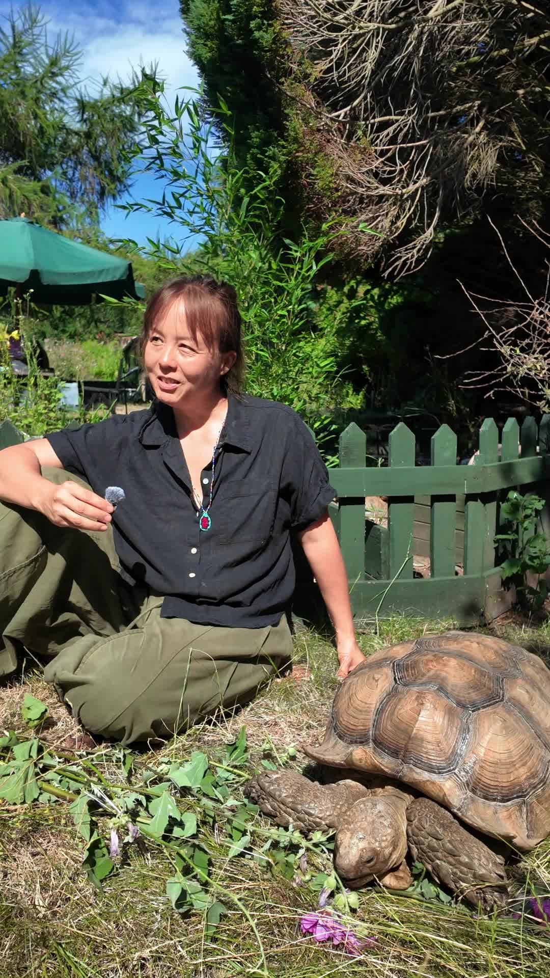 @prorep_reptile