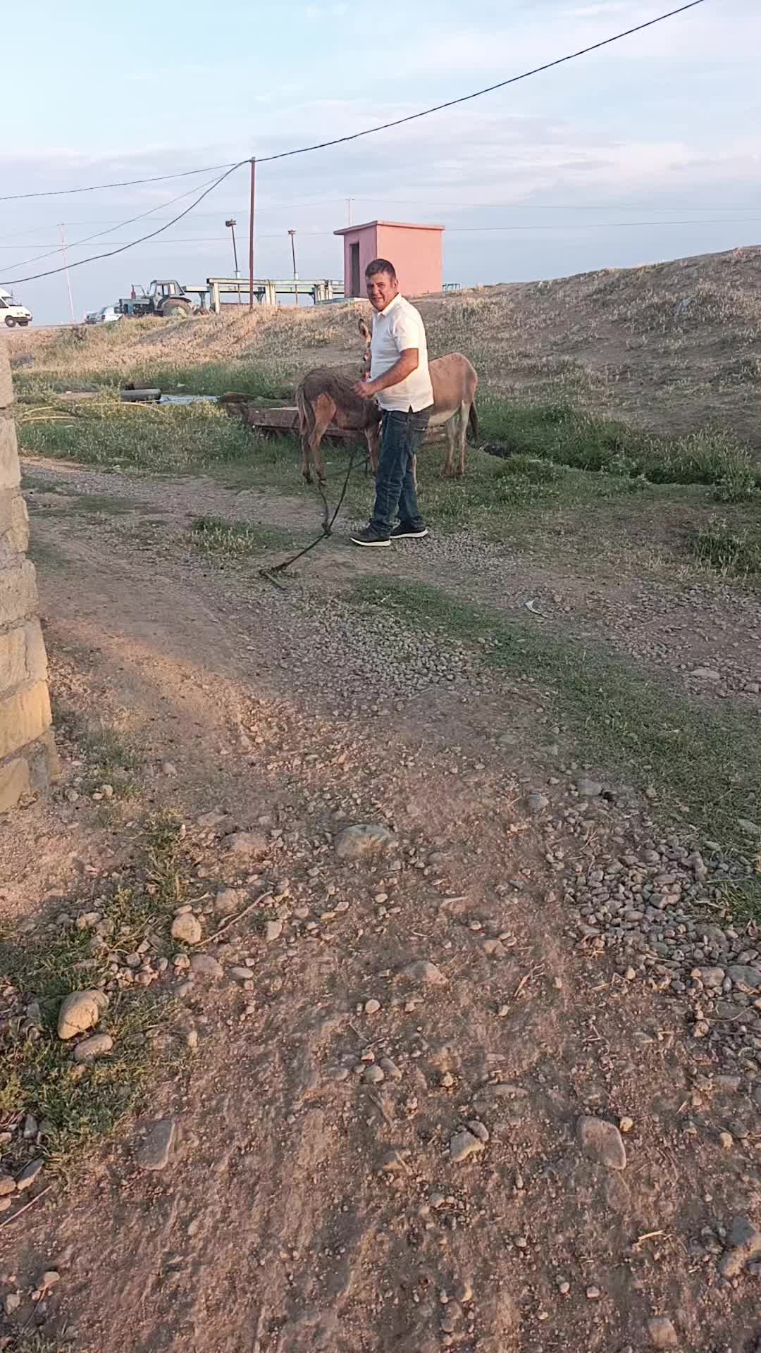 @lüt___Eşqin