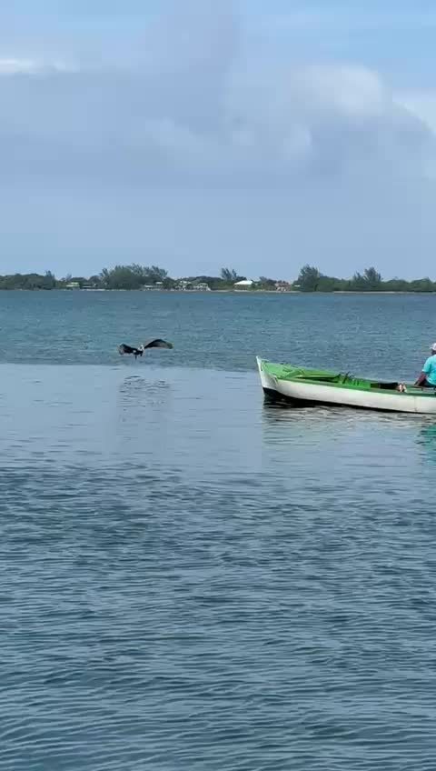 @Sunbliss Tours Utila