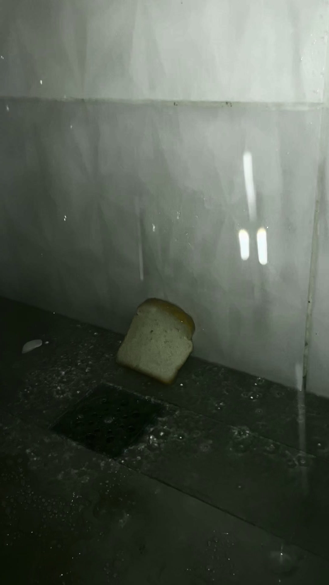 @Bread