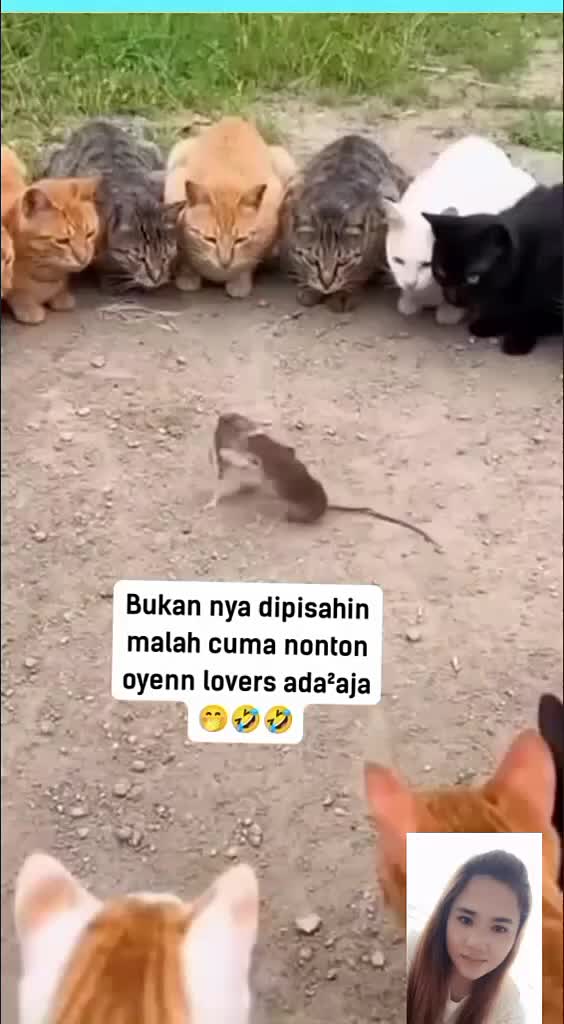 @arulalfan8
