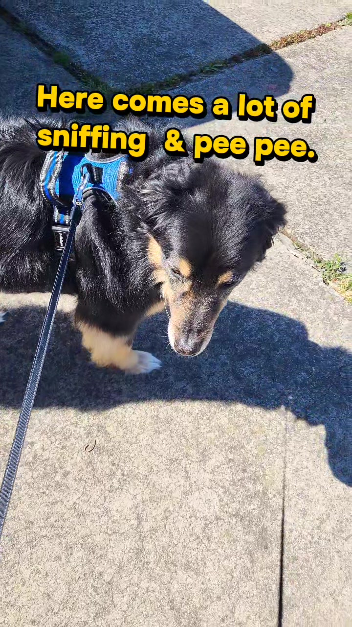 @❌️MrChuckles❌️