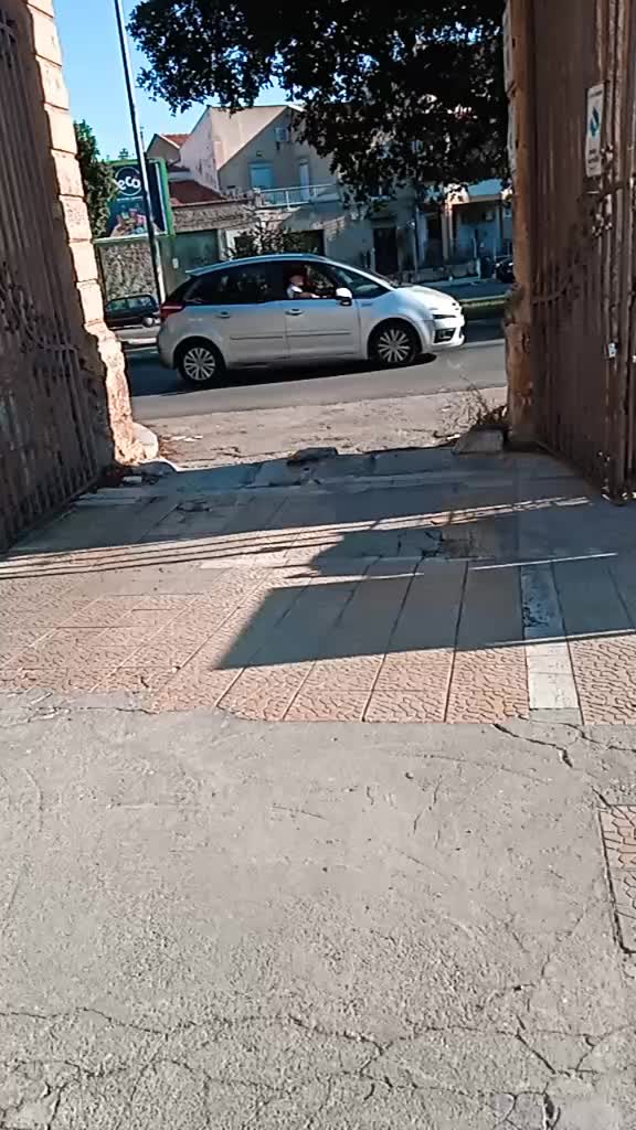 @valeriadimaio688