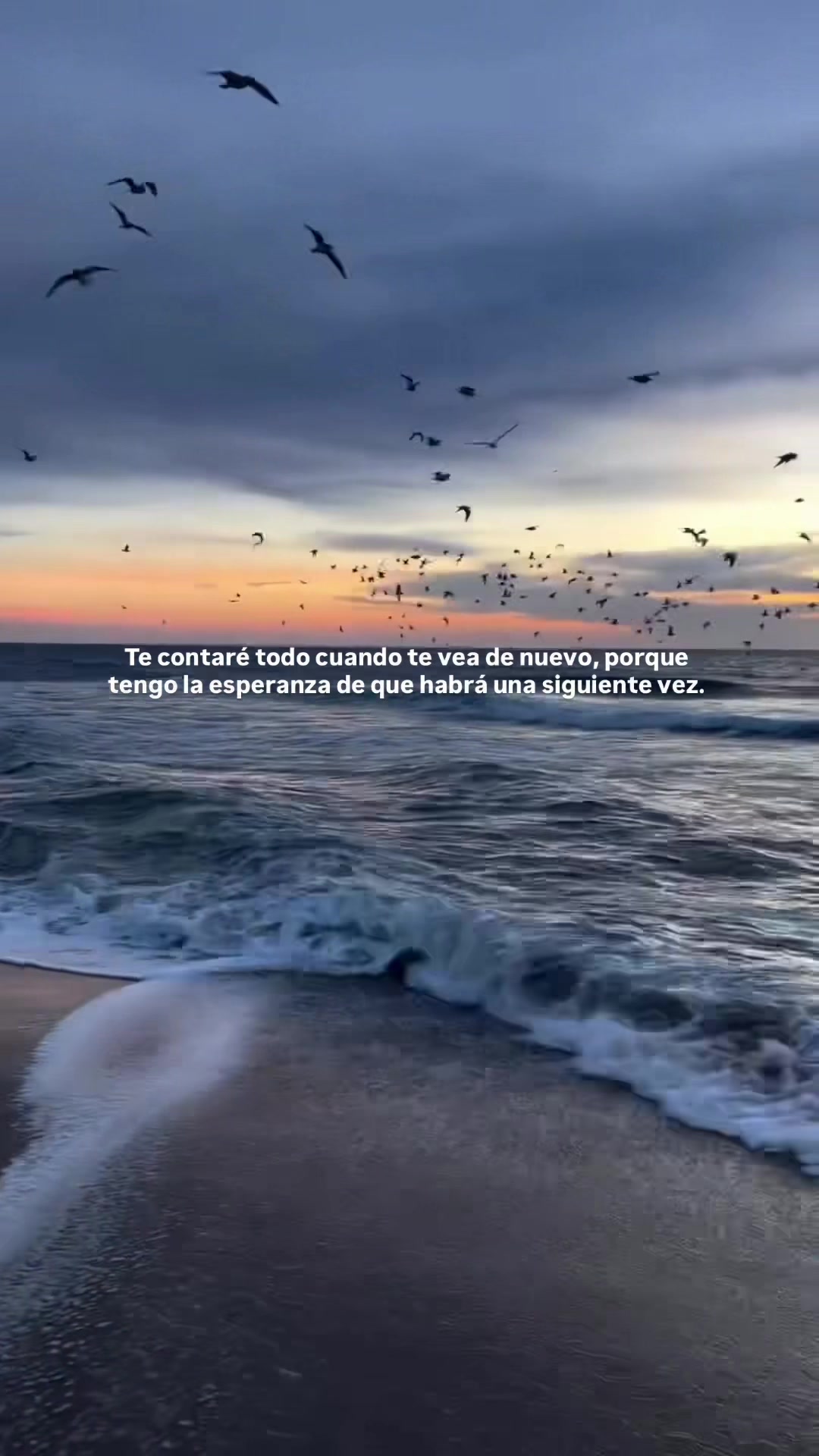 @LUISA