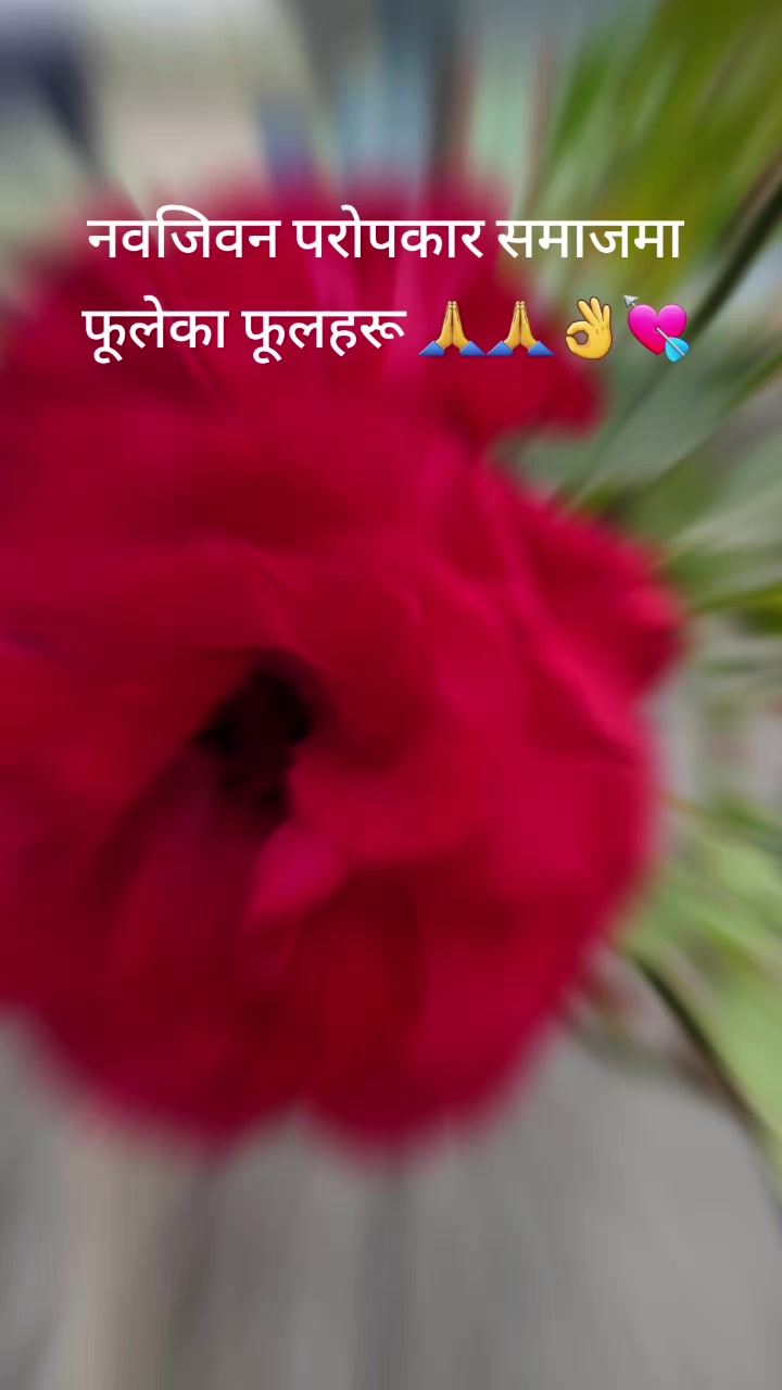 @Geeta Nepal123