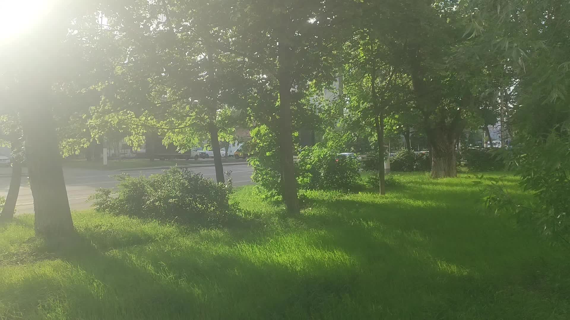@mirt3n