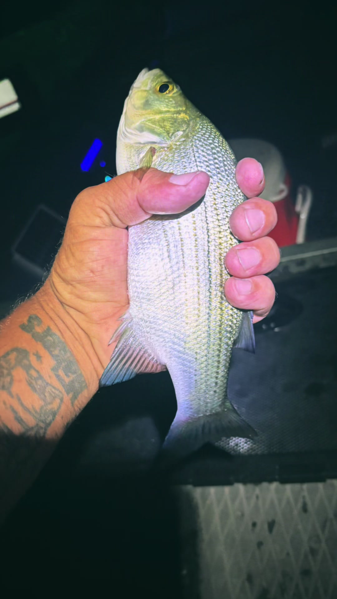 @Fishing the Carolina&rsquo;s