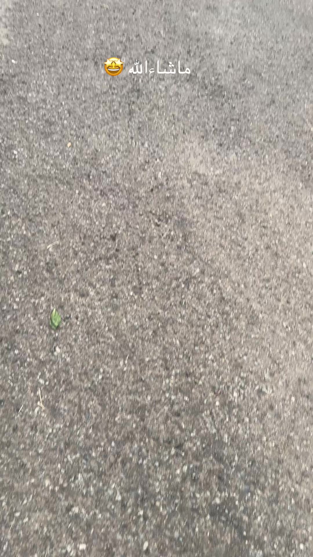 @حسين