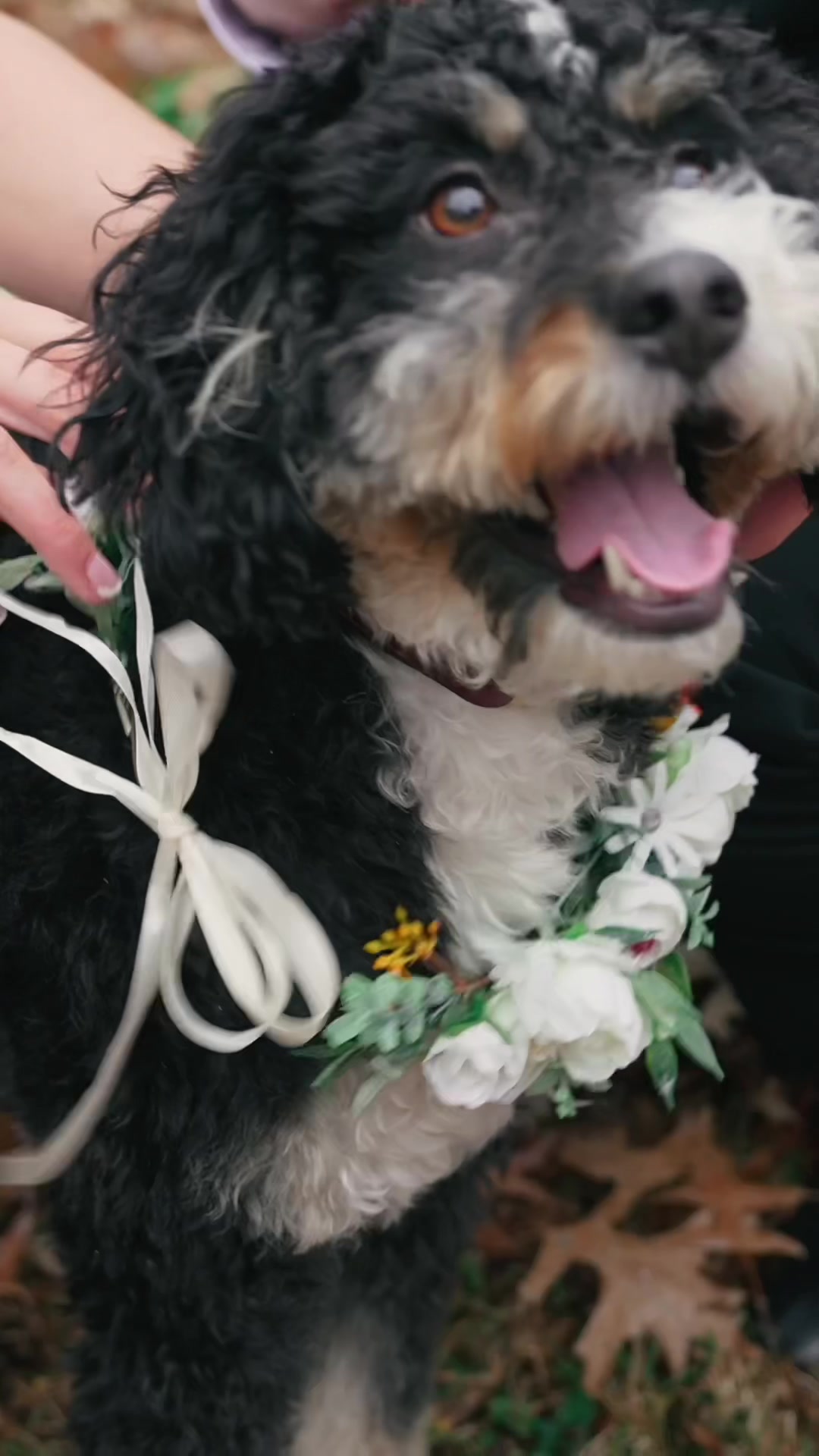 @margaretjamesweddings