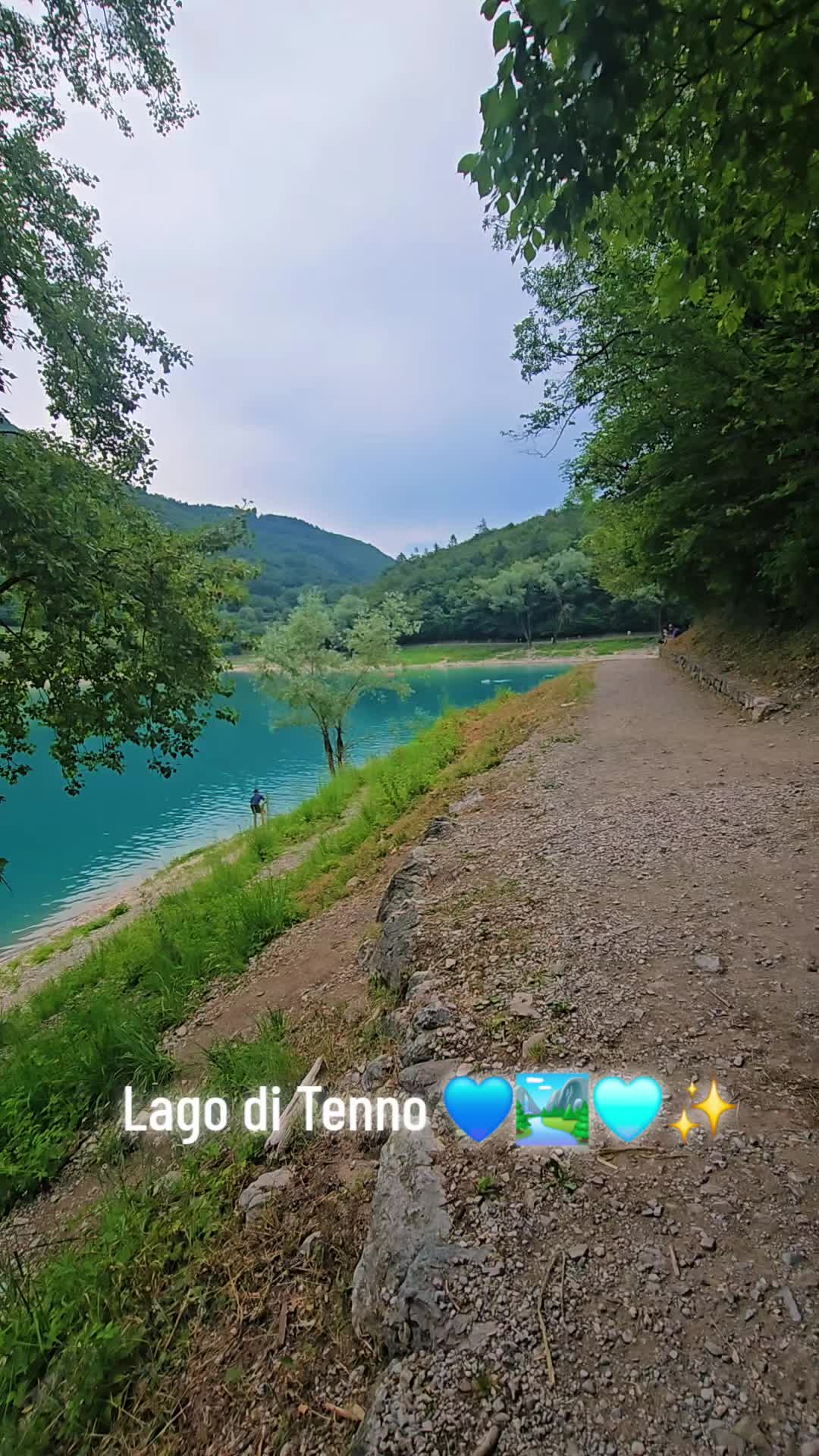 @ank_andreescu867