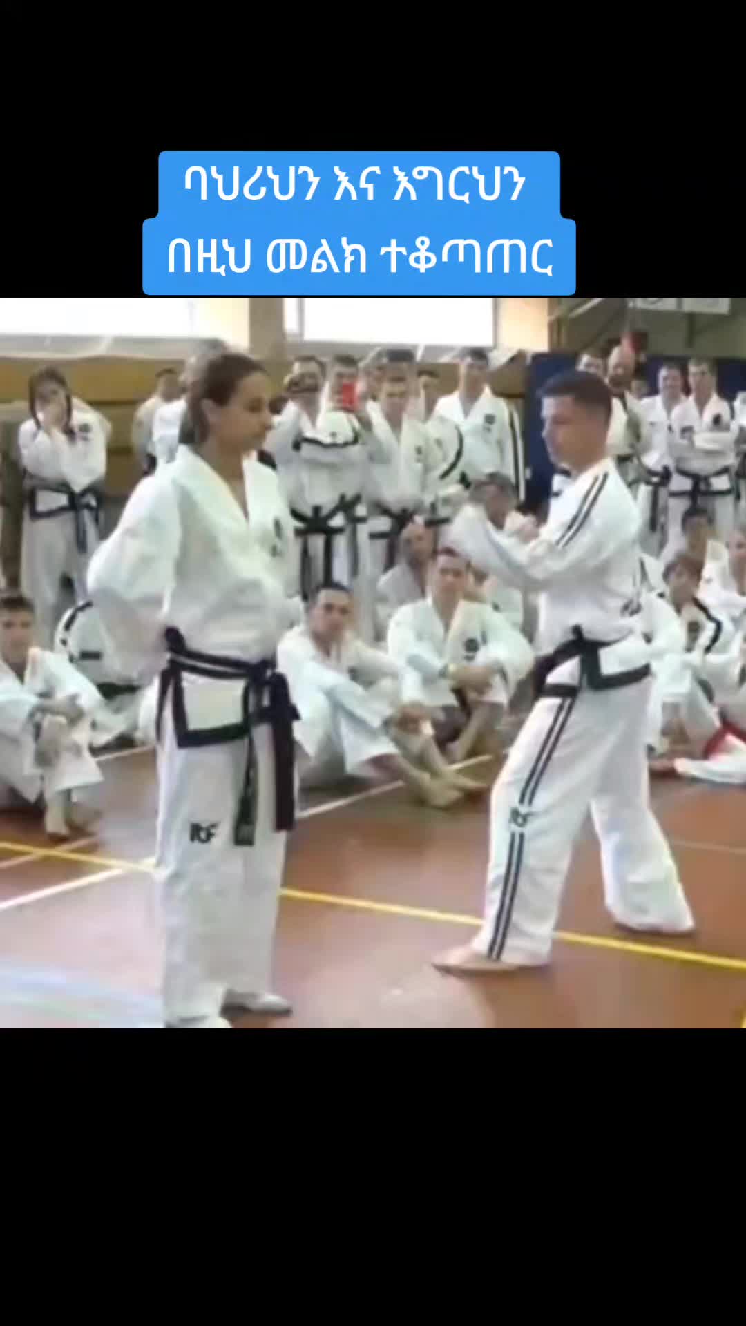 @Martial art Champions