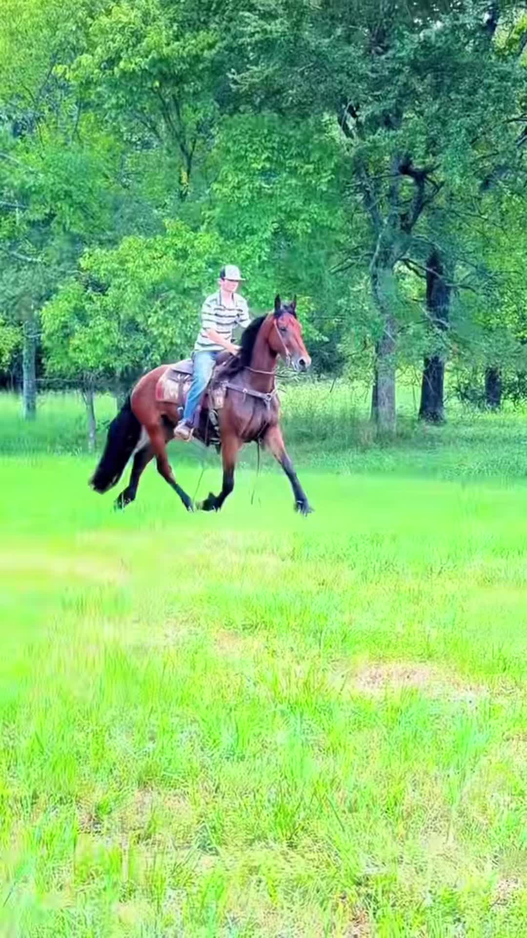 @Lucky D Ranch 🍀