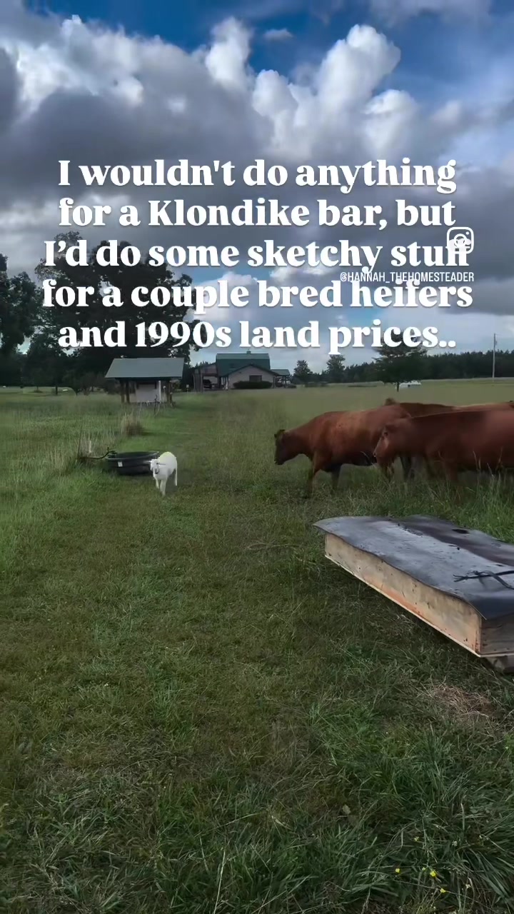 @Real.life.hannahb