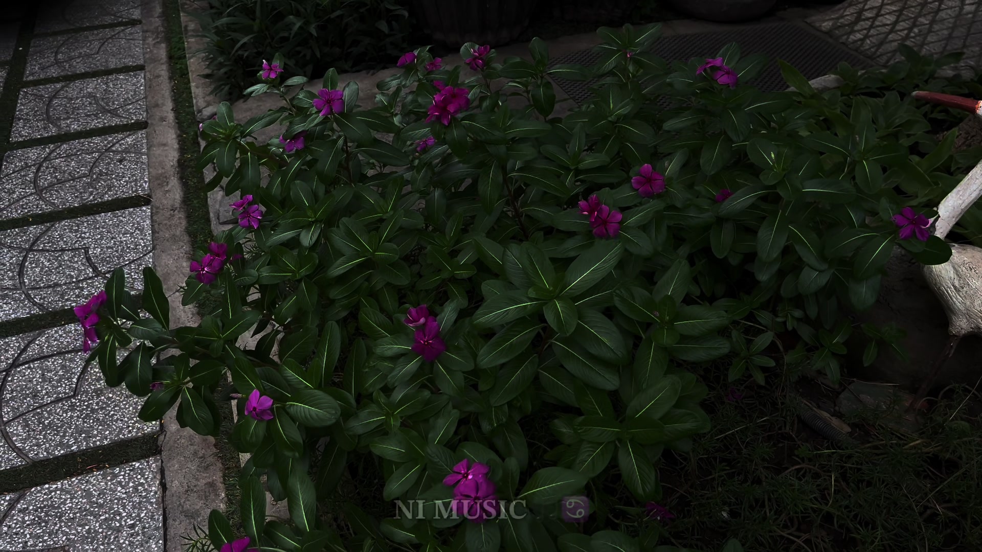 @๐๐ ๐๐๐๐๐ ๐ตโ