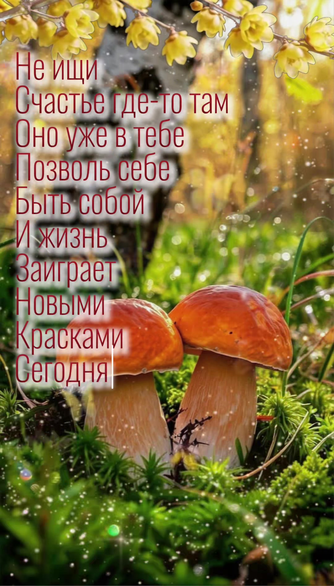 @`*&bull;.&cedil; Alena ˚ 𑁍ࠬܓ