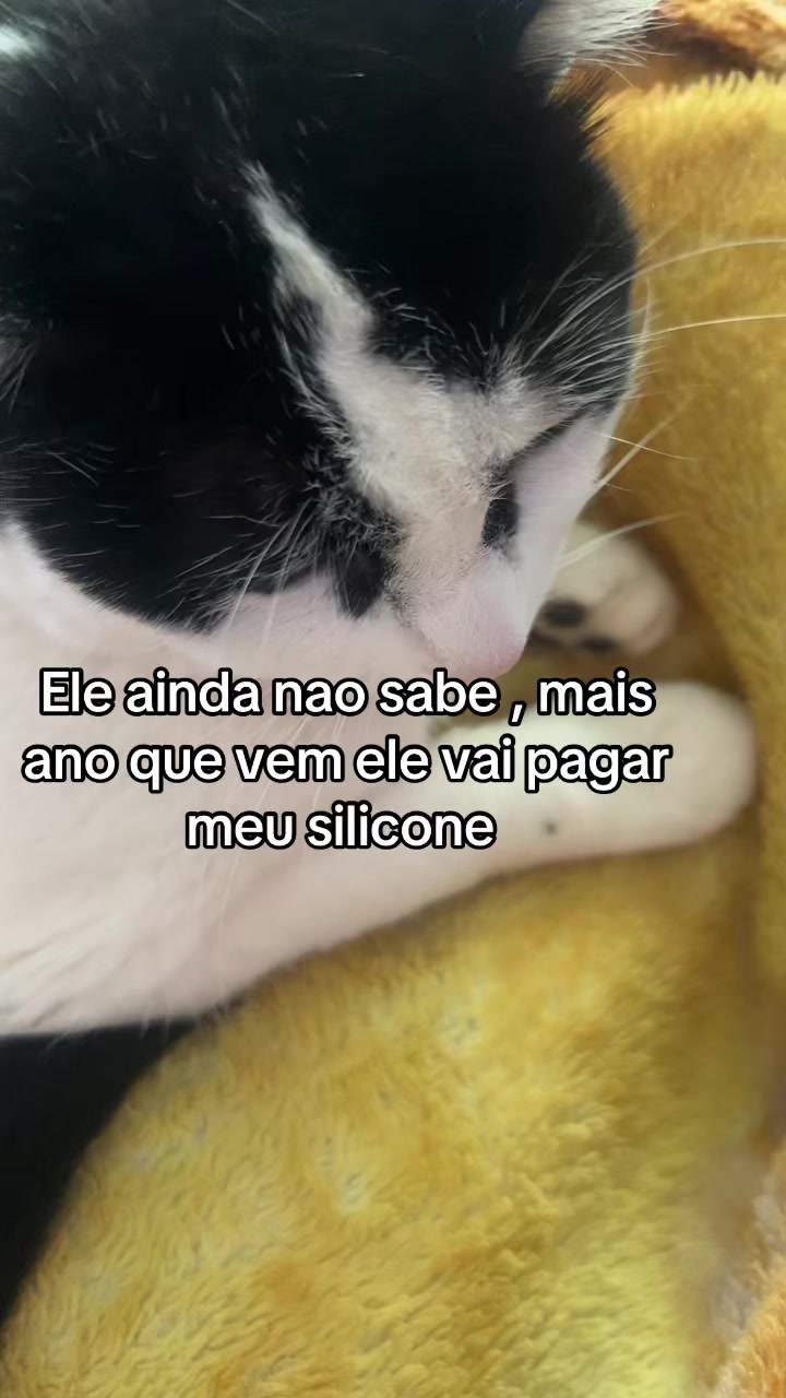 @beeatrizg17