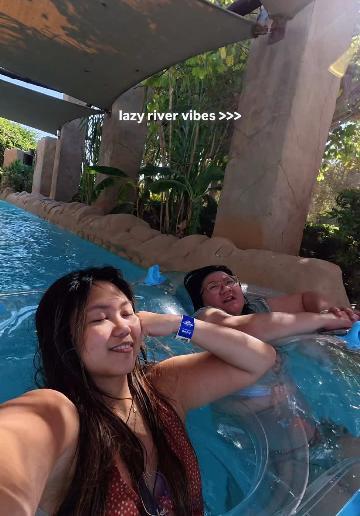 @alyssamatchacactus
