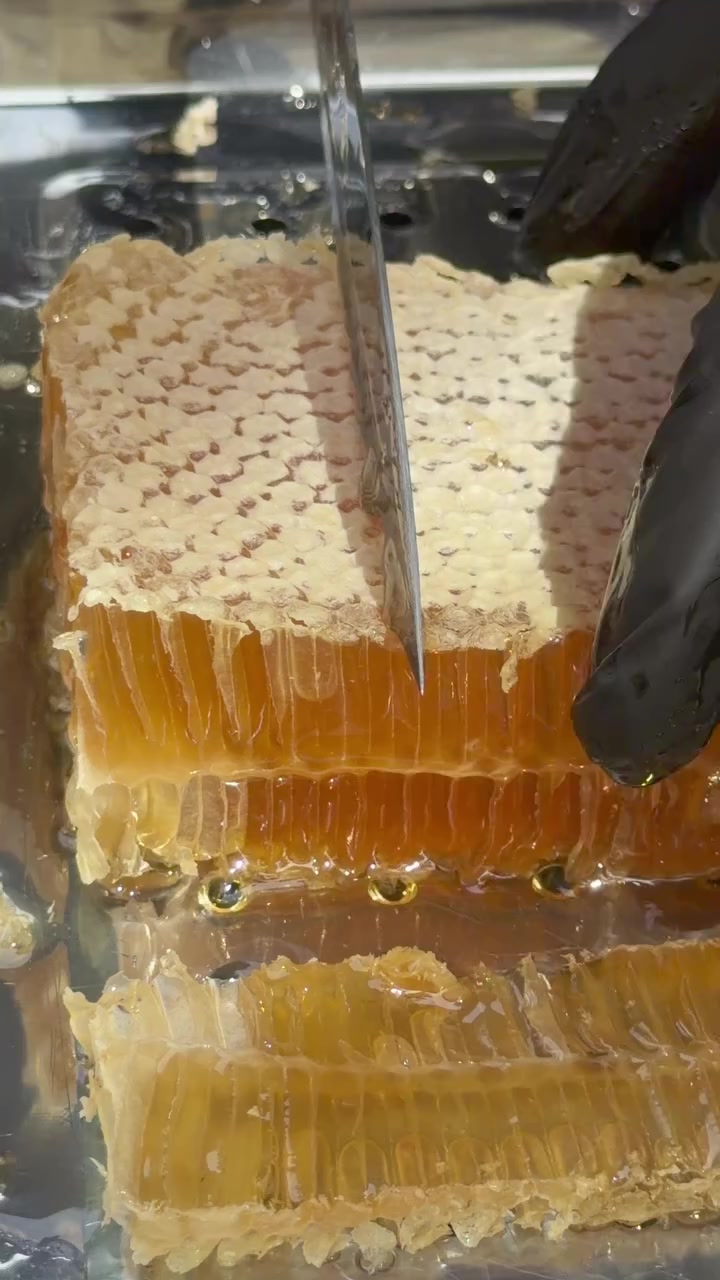 @Doğan Arıcılık 🐝