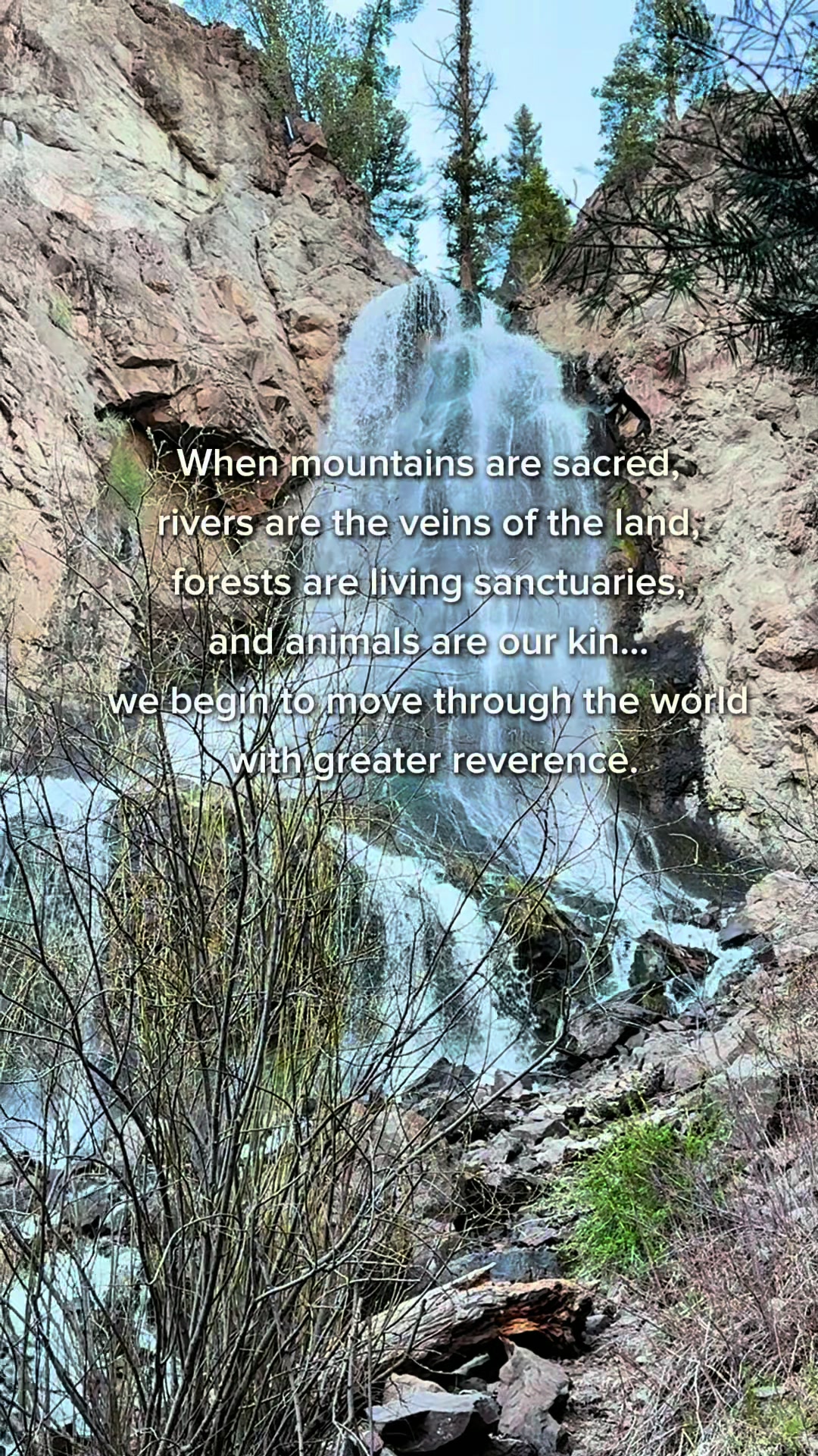 @Jasmin | A Rooted Life