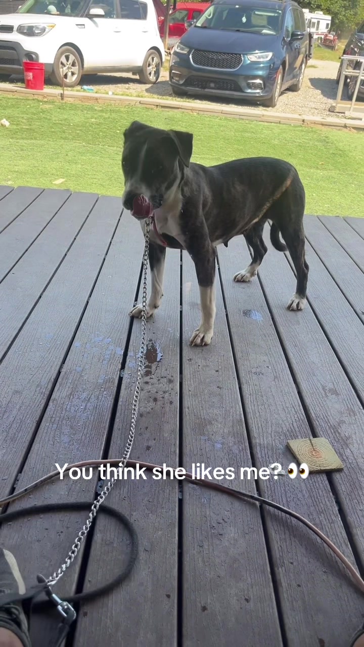 @AJ