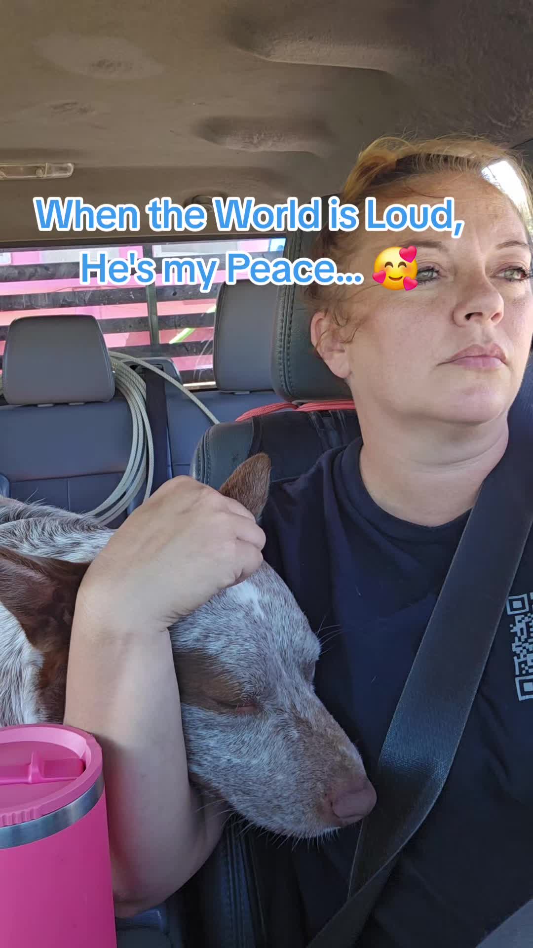 @Small Town Farm LLC