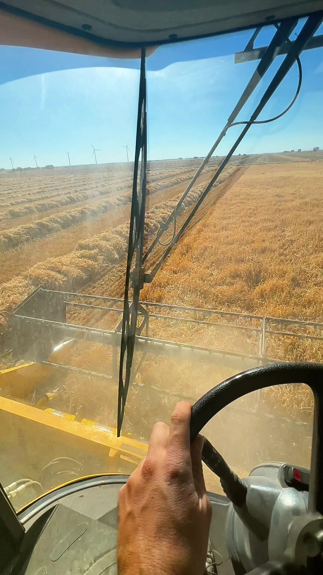 @Jota Agricultura