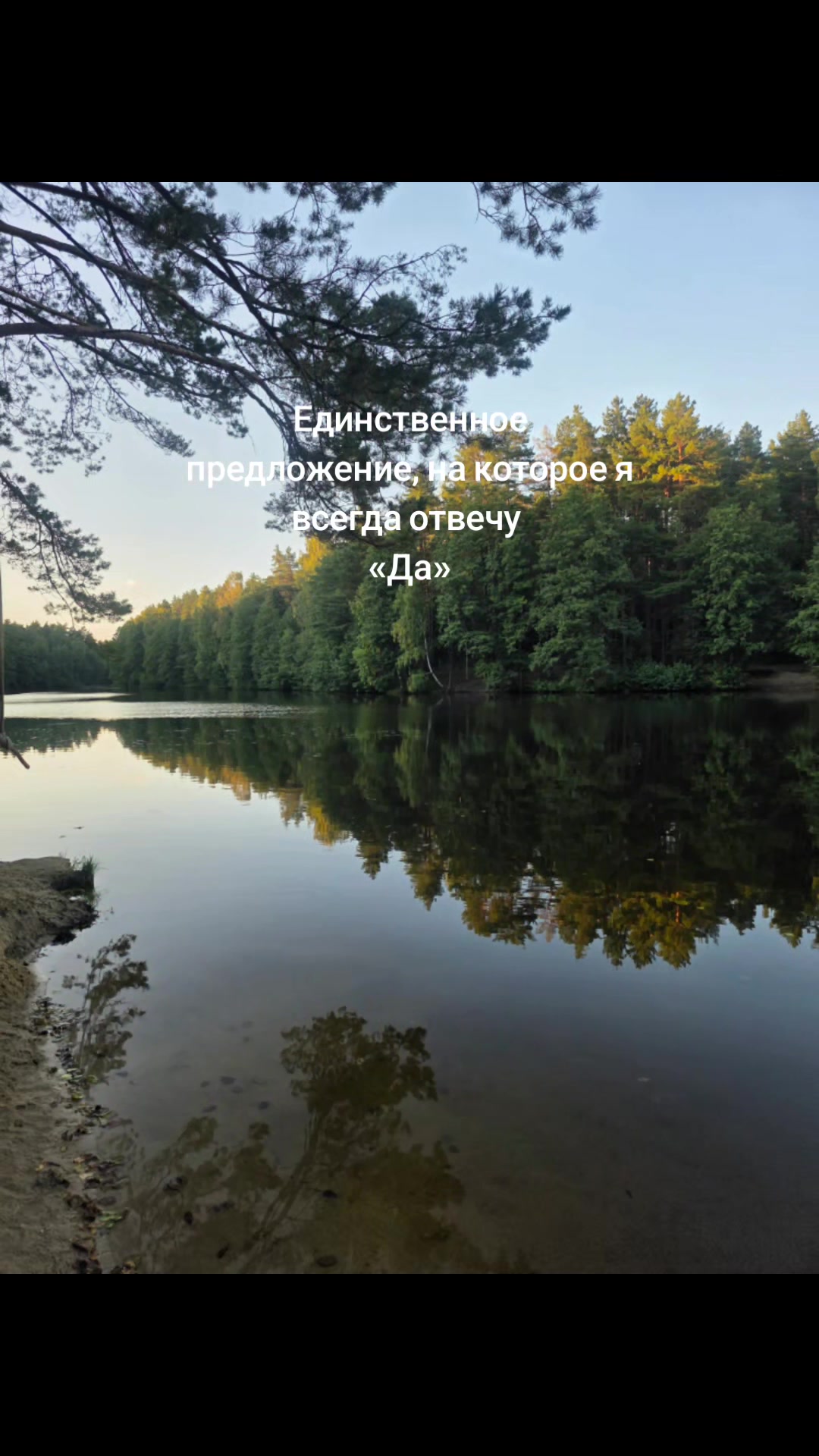 @🌸Юленька 💕 🦊🐾