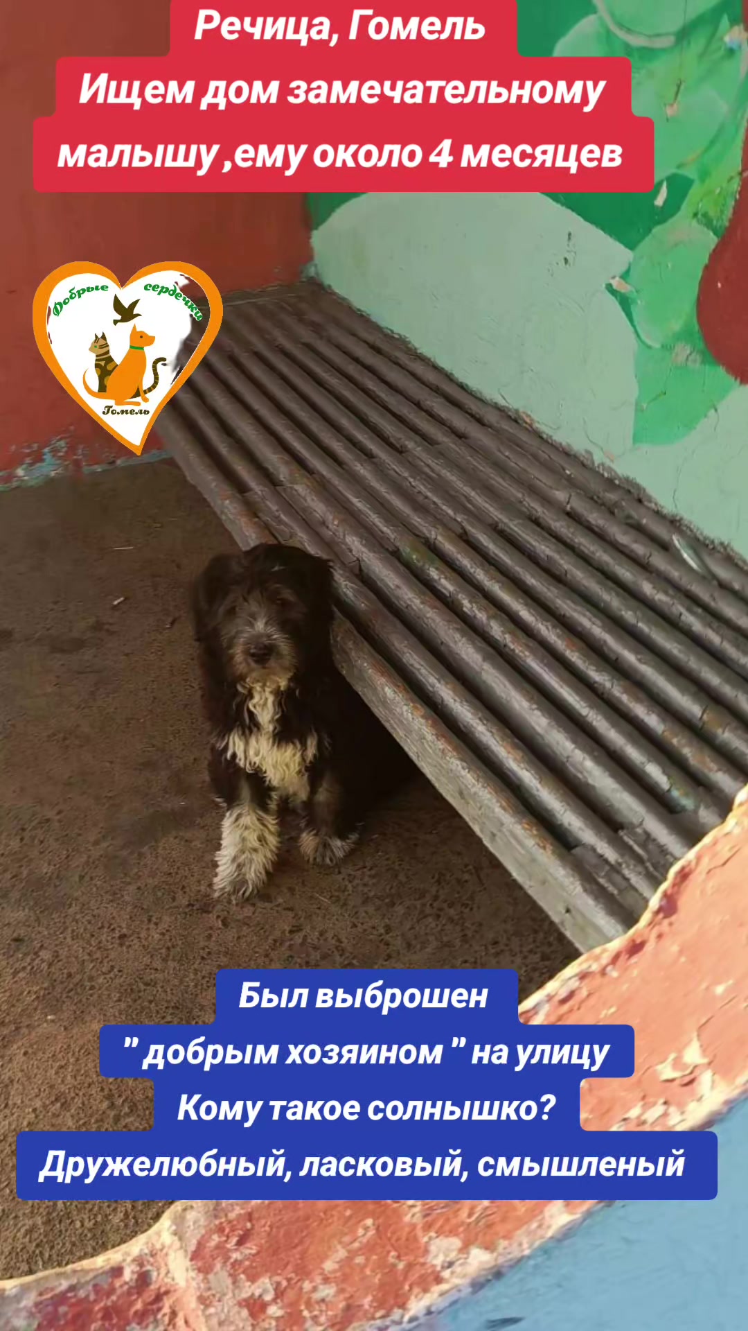 @Марина