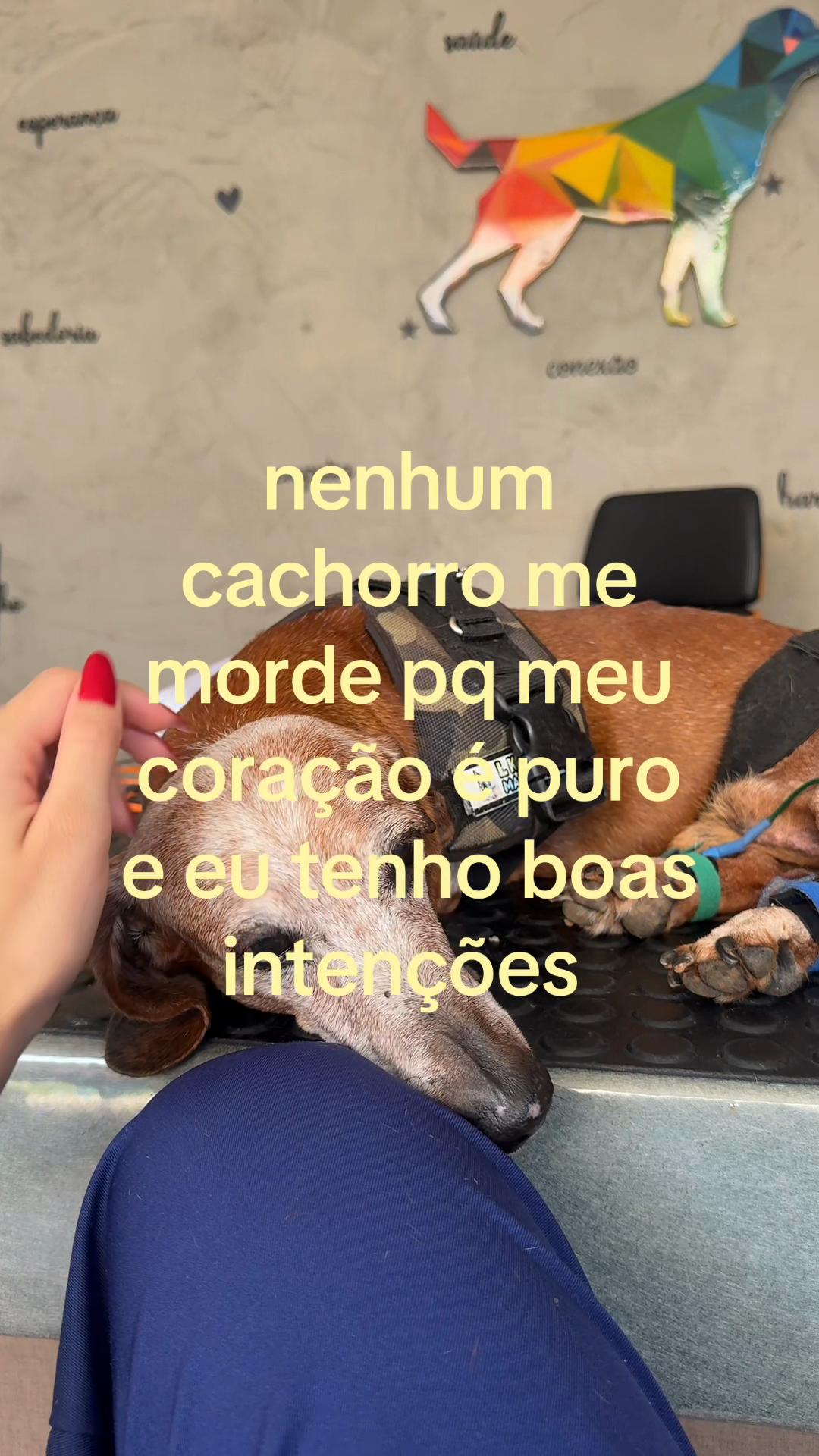 @jullya fonteles