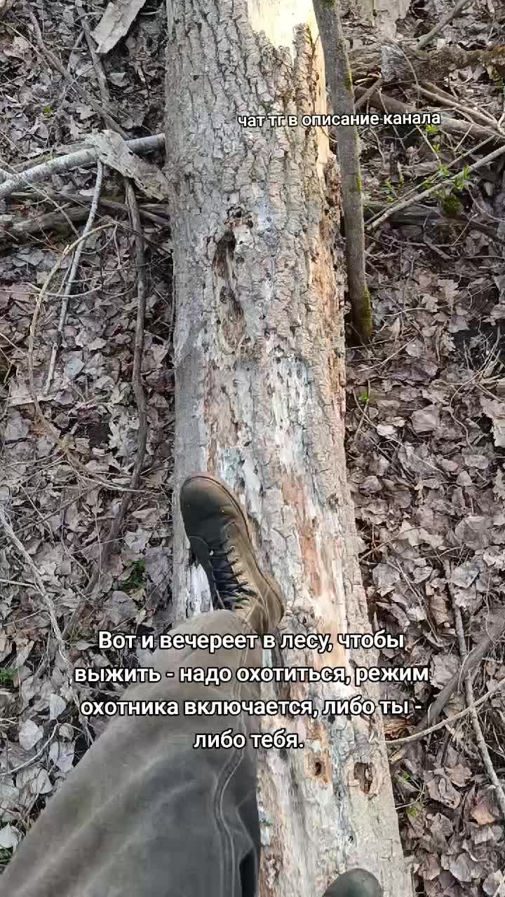 @Лучезарный хрякᛉ