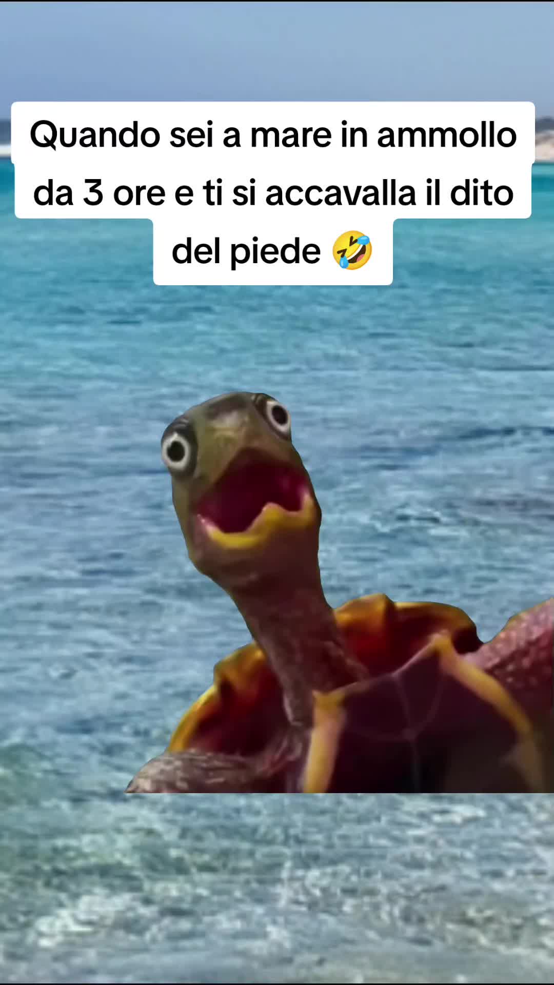 @Nina