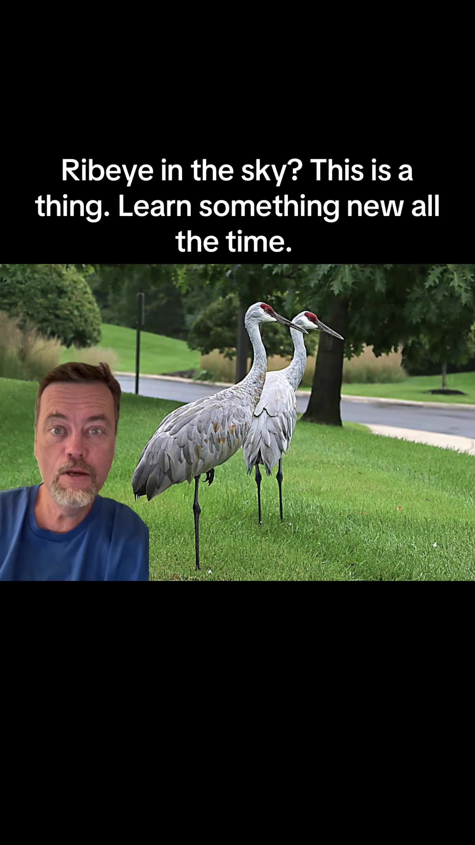 @jimobriendet