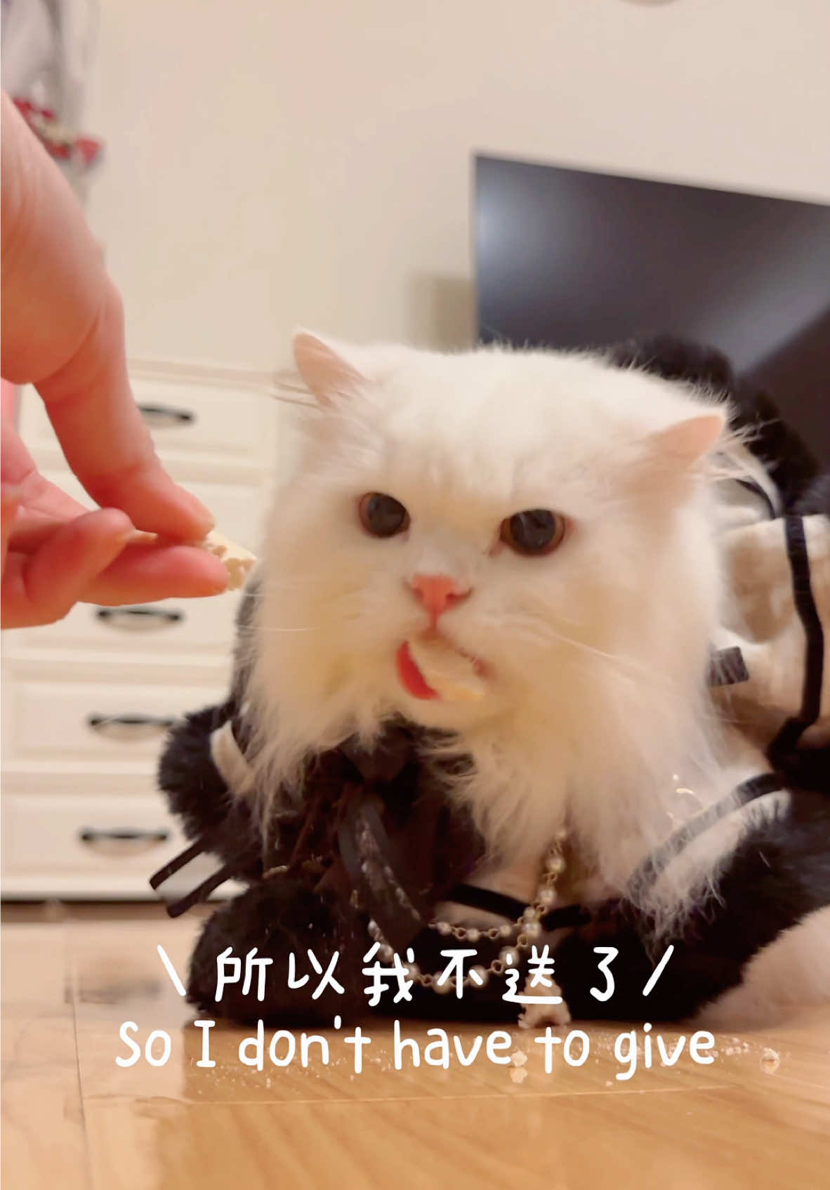 @小步舞曲の步