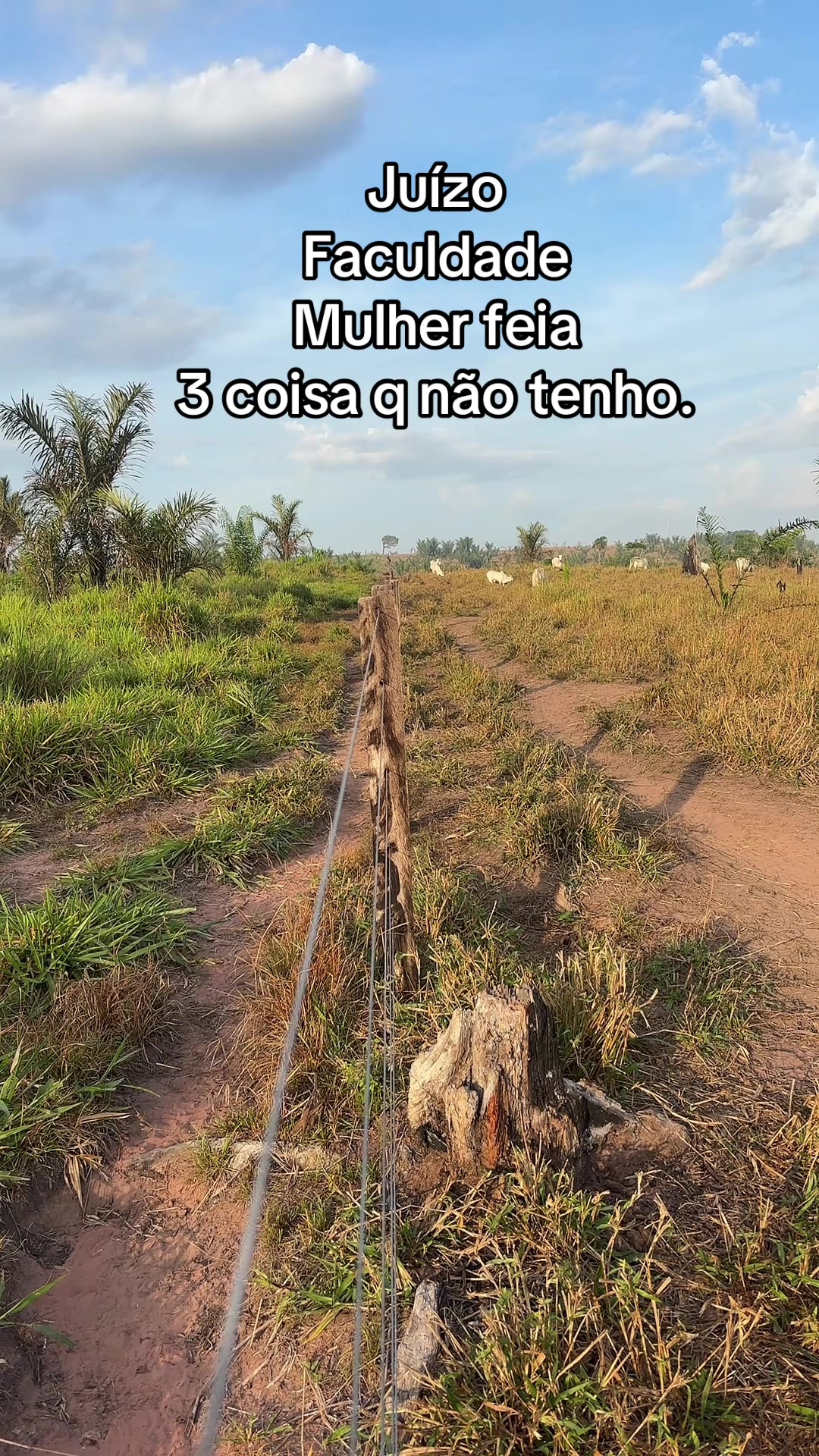 @vaqueirolendario