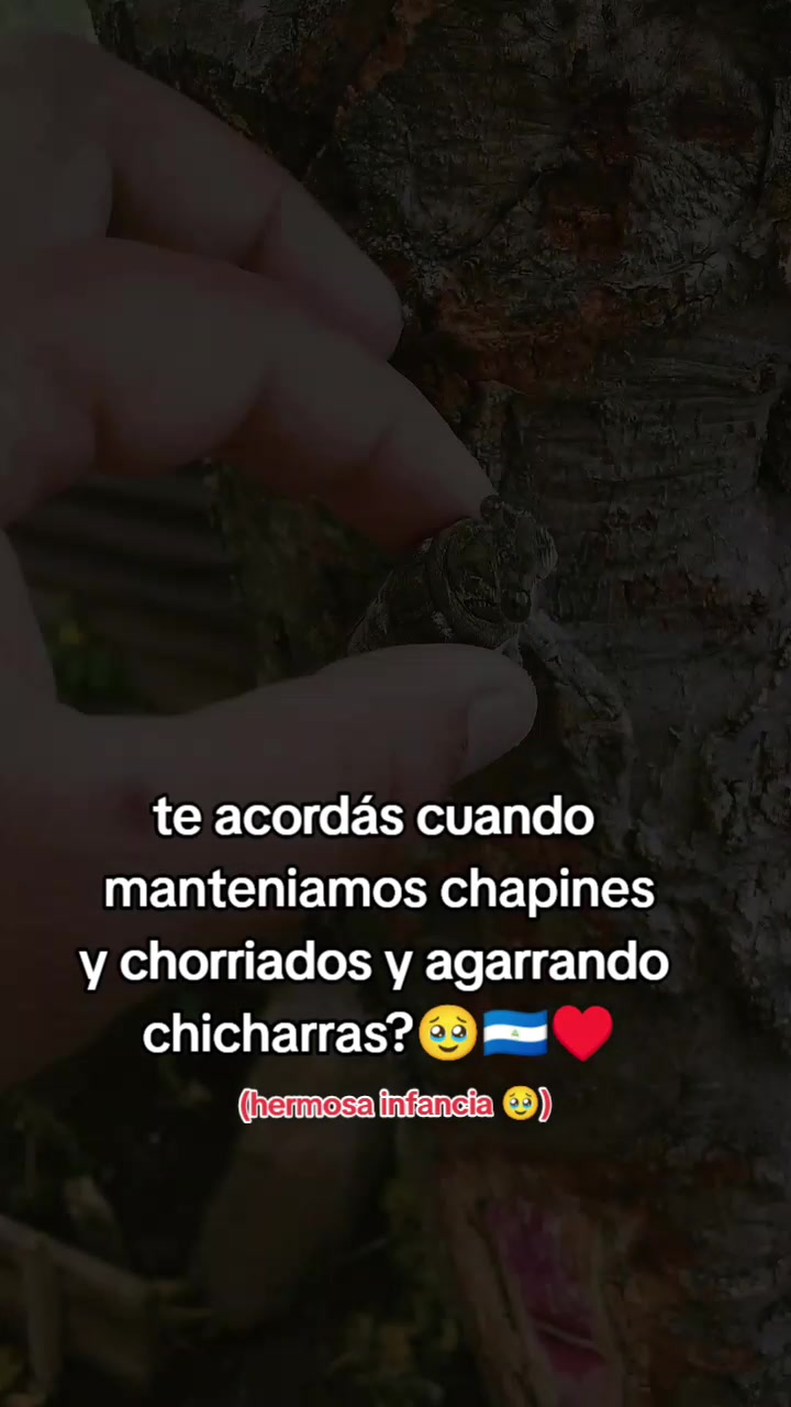 @chica gueguense505
