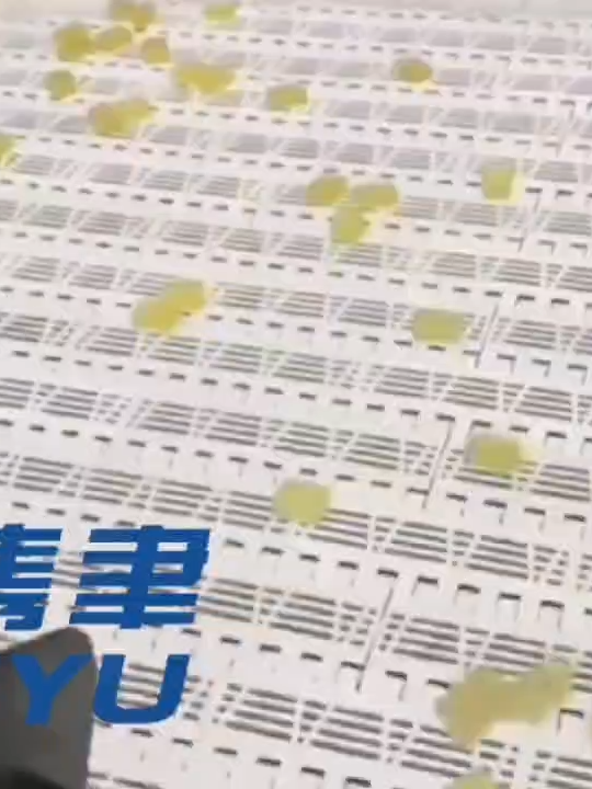 @annajunyu