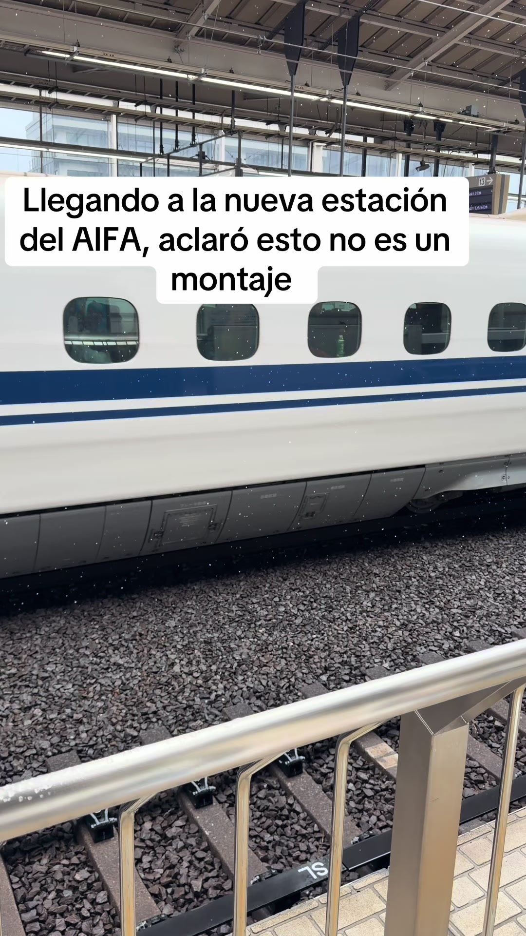 @travizbal