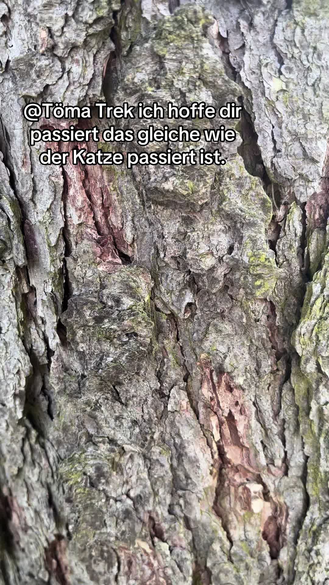 @Nico_2t